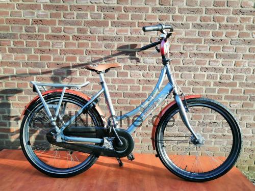 Batavus Amigo technische daten